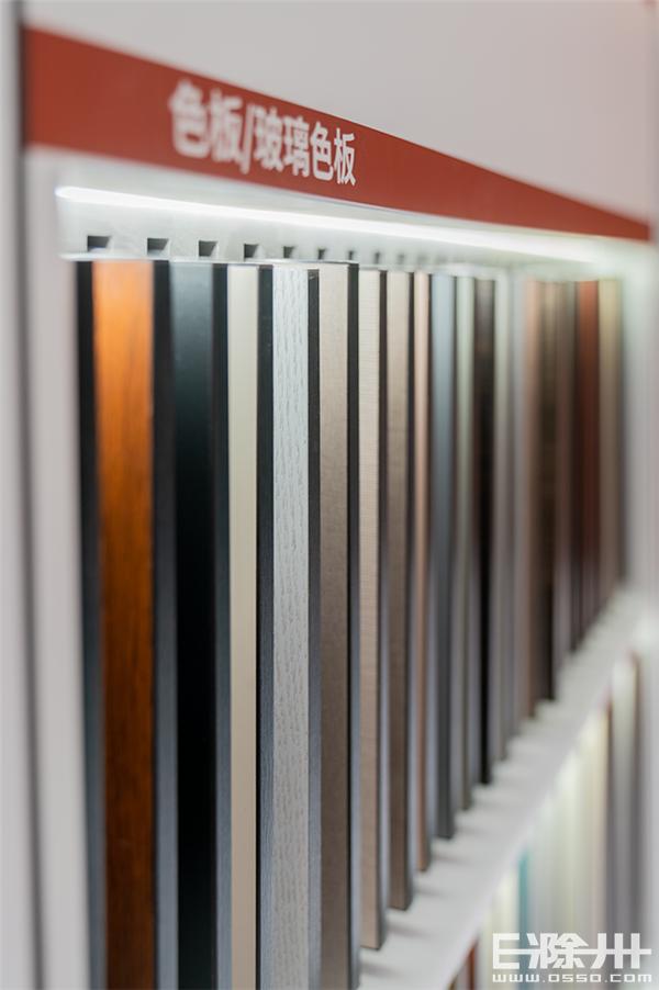 多重静音？一门两面？独立设计？没想到滁州还有这样的木门店