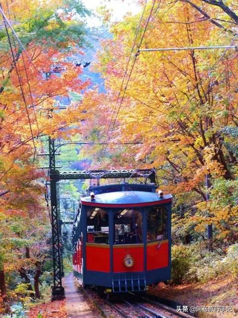 到了大阪先去神户还是奈良,大阪京都奈良神户十日游攻略