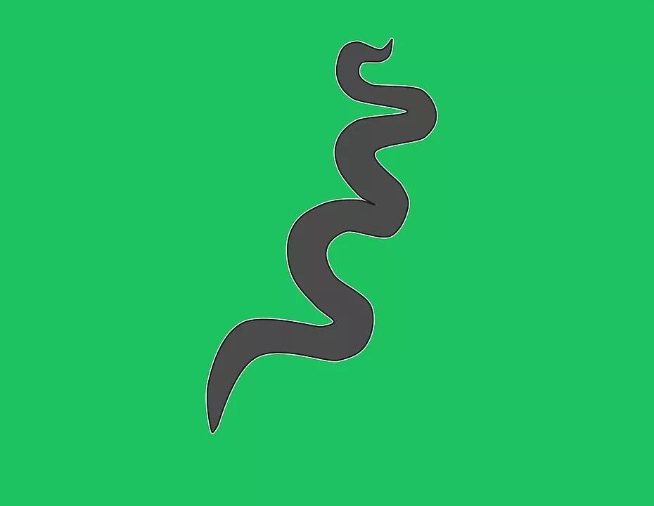 去洗浴中心为什么会感染梅毒,洗浴会感染梅毒么