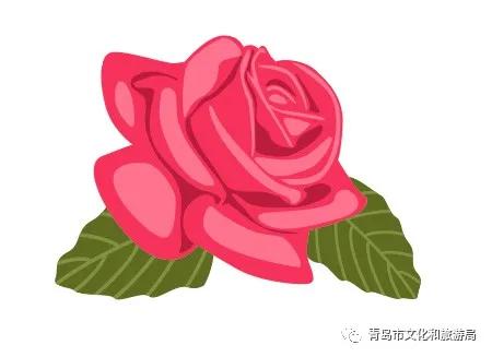 识花赏花学知识,赏花识花学知识