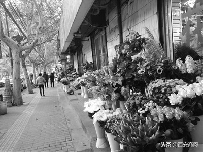 西安花卉市场调研,西安花卉网上批发市场