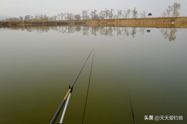 春季晴天钓鱼的技巧与方法,早春钓鱼技巧野钓鲫鱼