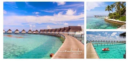 马尔代夫旅游攻略必带物品清单,到马尔代夫旅游攻略