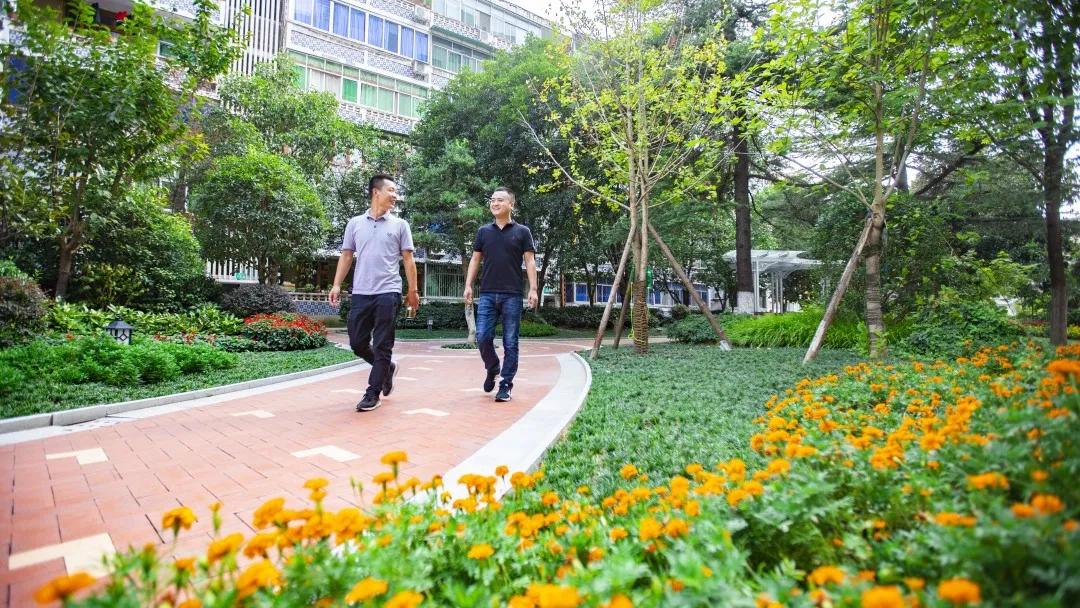 最美的人间四月天演唱视频,最美的人间四月天如约而至