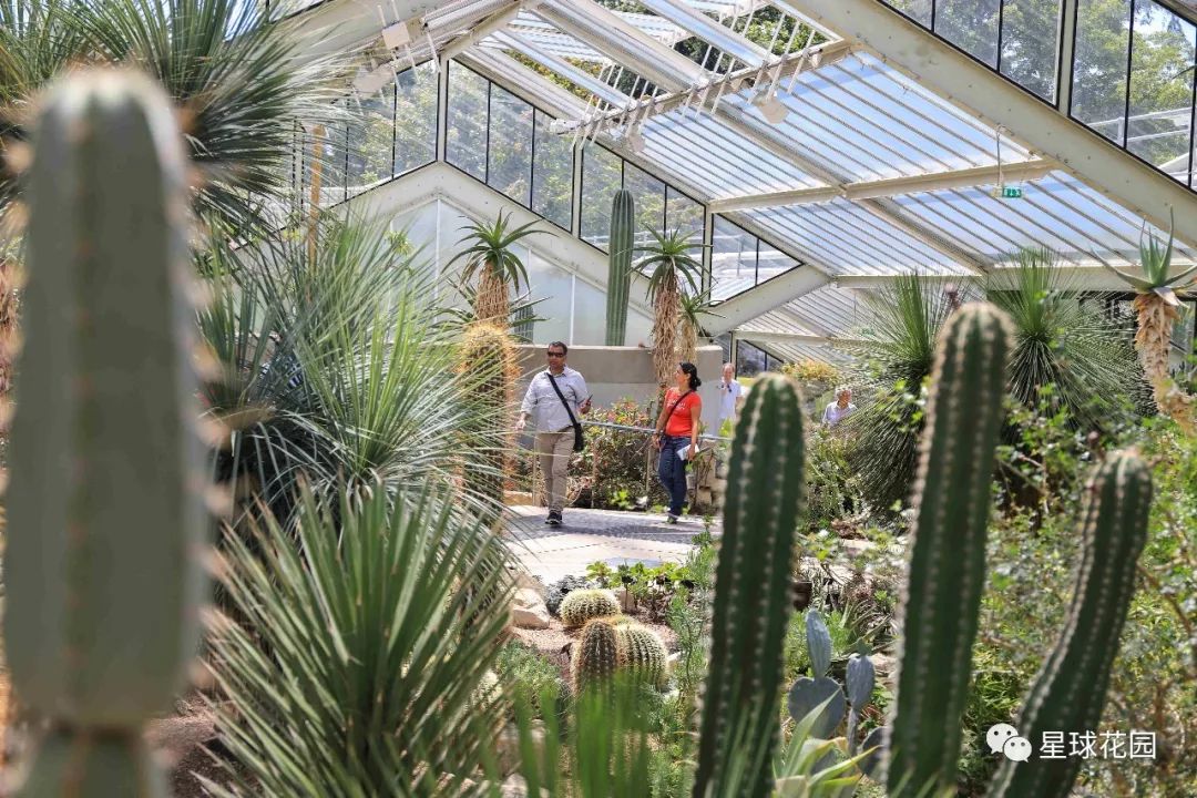 二木带你游花园|邱园（kewgarden）离我们到底有多远？