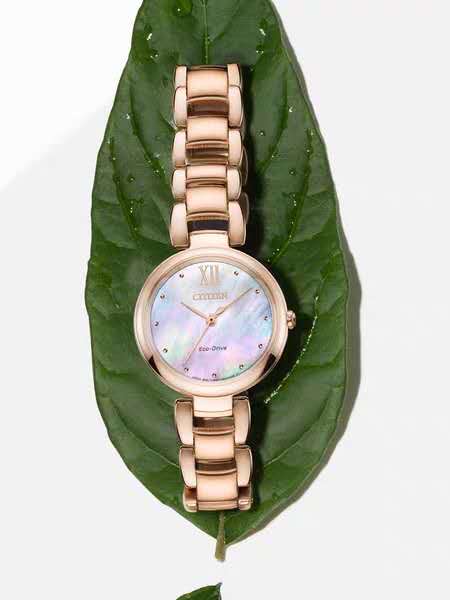 什么手表好看又不贵女表推荐,女表小众轻奢2000到3000