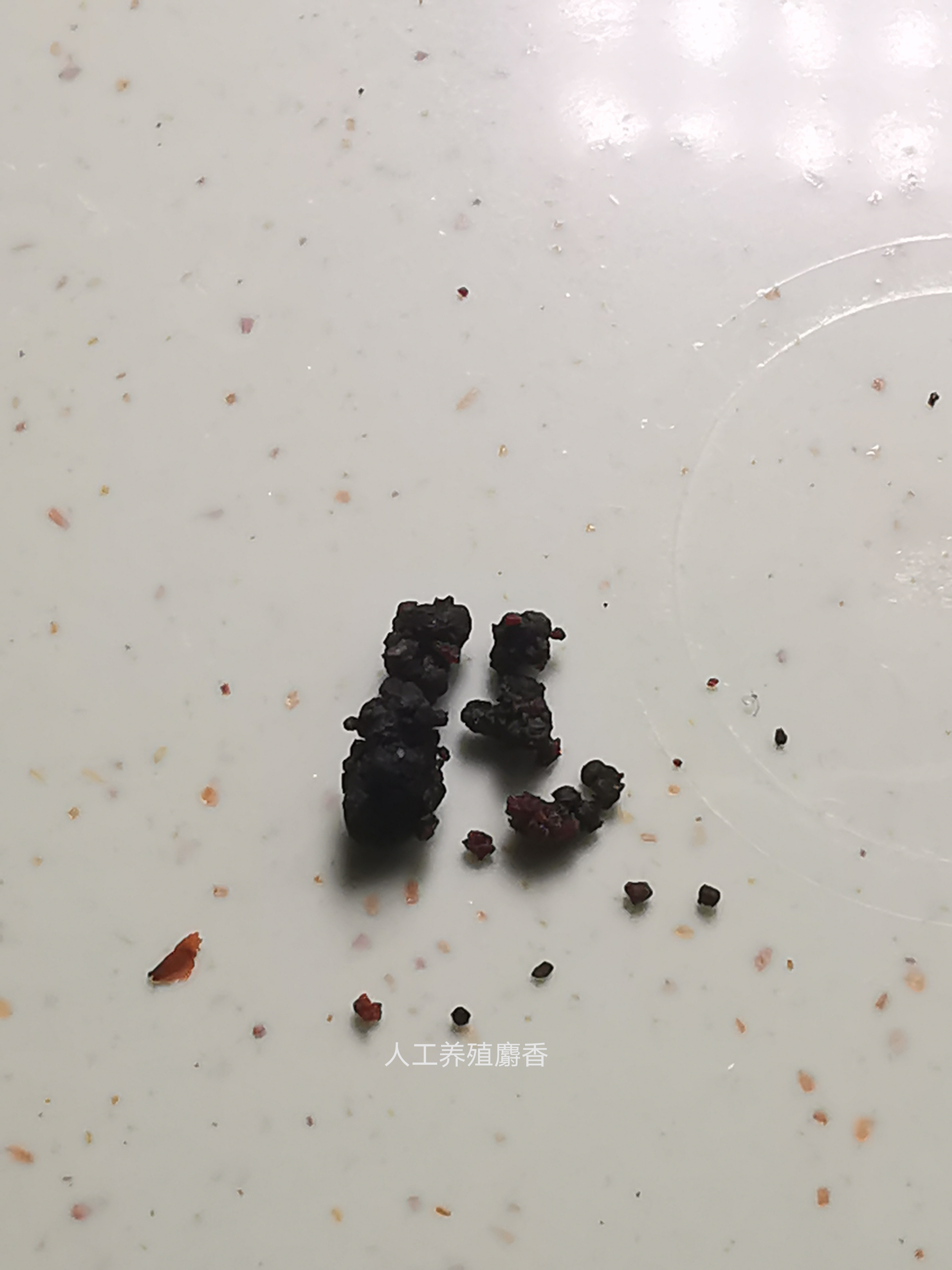 麝香酒米闻起来是什么味道,麝香闻着难闻