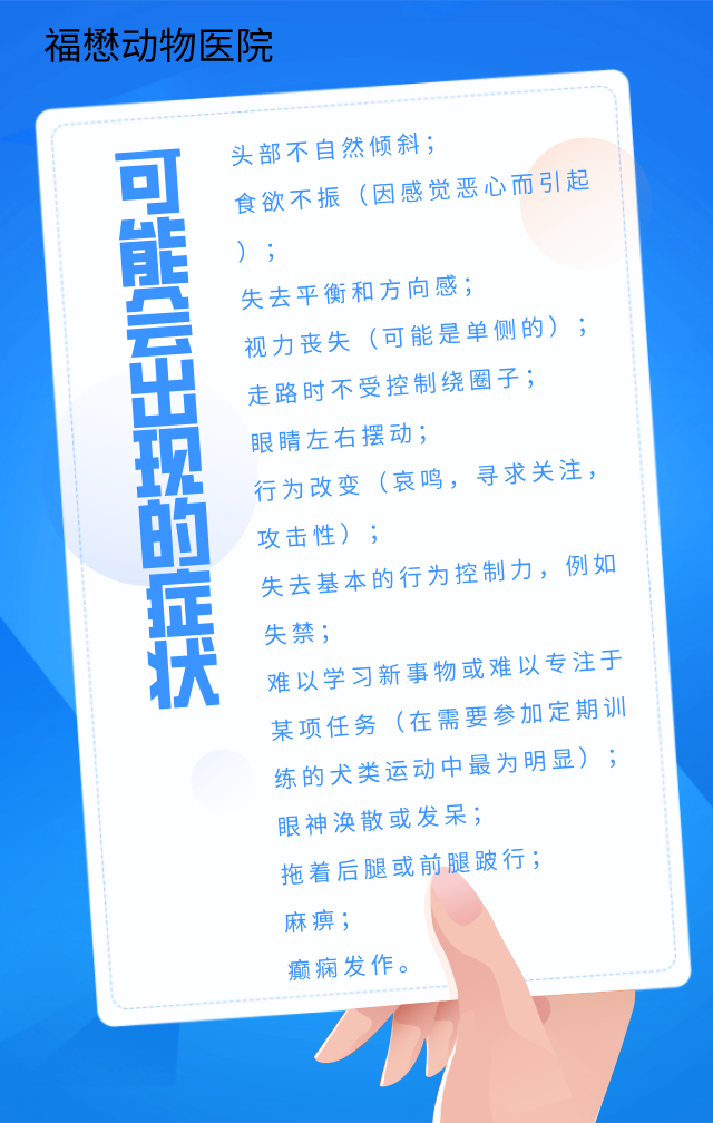 福懋动物医院：原来狗狗也会中风？尽早发现能救命