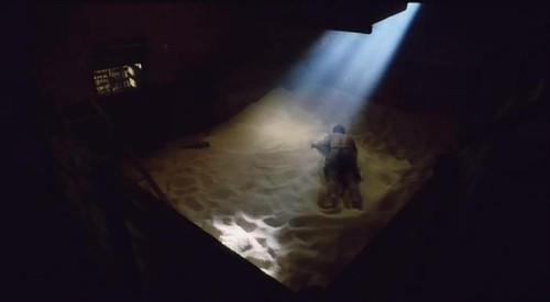 当欲望和绝望一样灼烈——苏童《米》书评