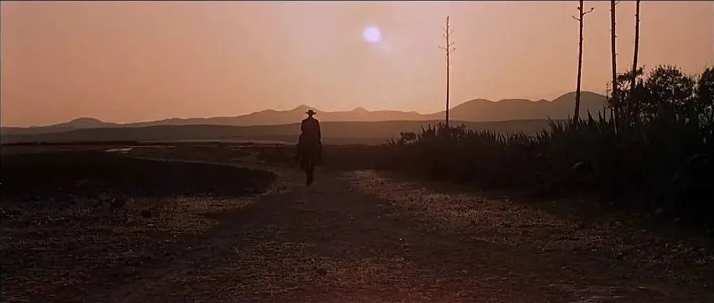 王家卫姚晨,姚晨王家卫