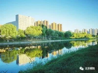 朝阳群众最新动态,朝阳群众辉煌战绩