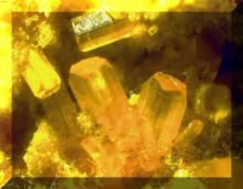 去看看金子是不是真的,看看黄金是如何提炼出来的