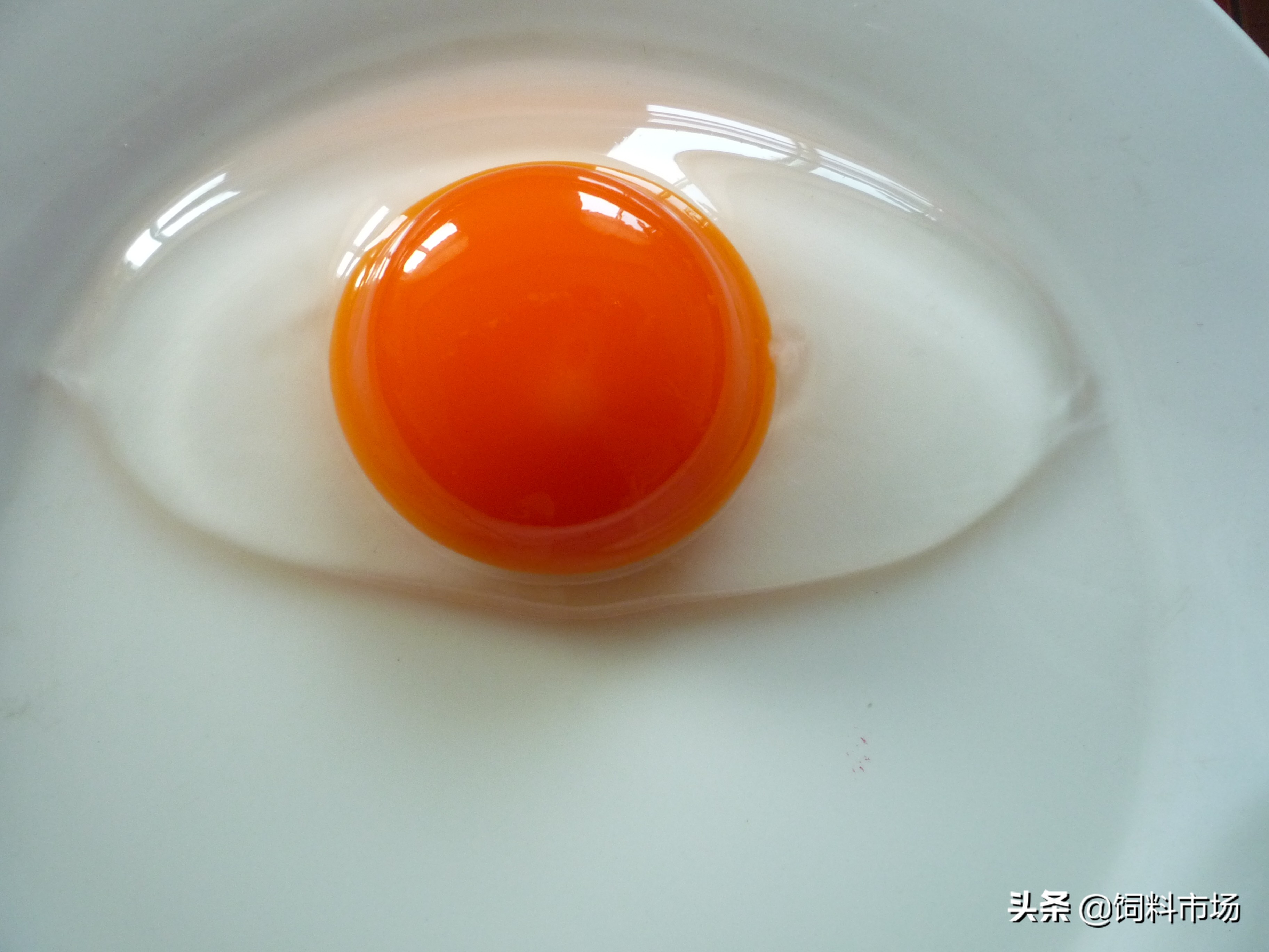 微山岛麻鸭,微山湖县城麻鸭