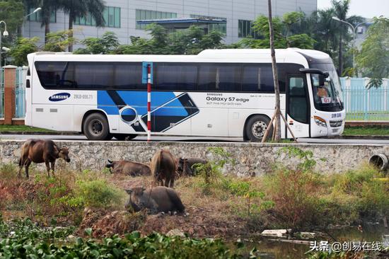 去越南开加工厂靠谱,去越南开工厂免税吗
