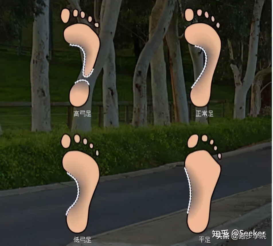 跑马的专业跑鞋,新手如何选择正确的跑鞋