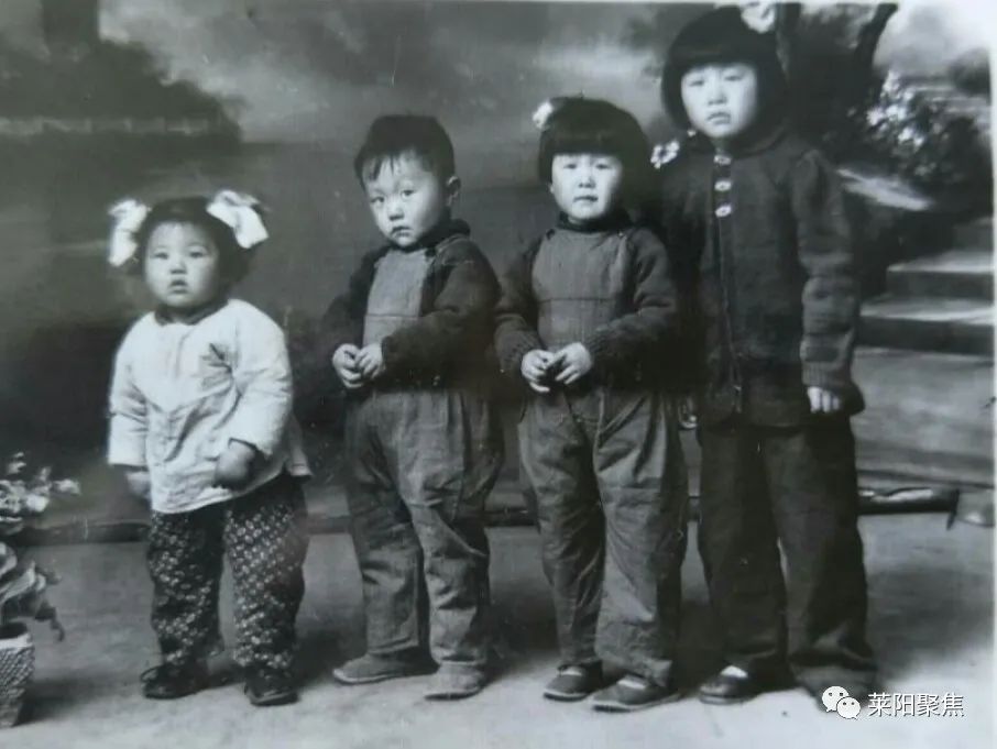 莱阳聚焦,聚焦烟台莱阳回放