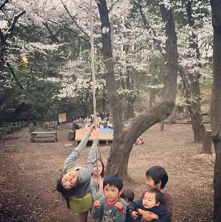 日本有个公园相当“危险”，家长却抢着把孩子送去玩