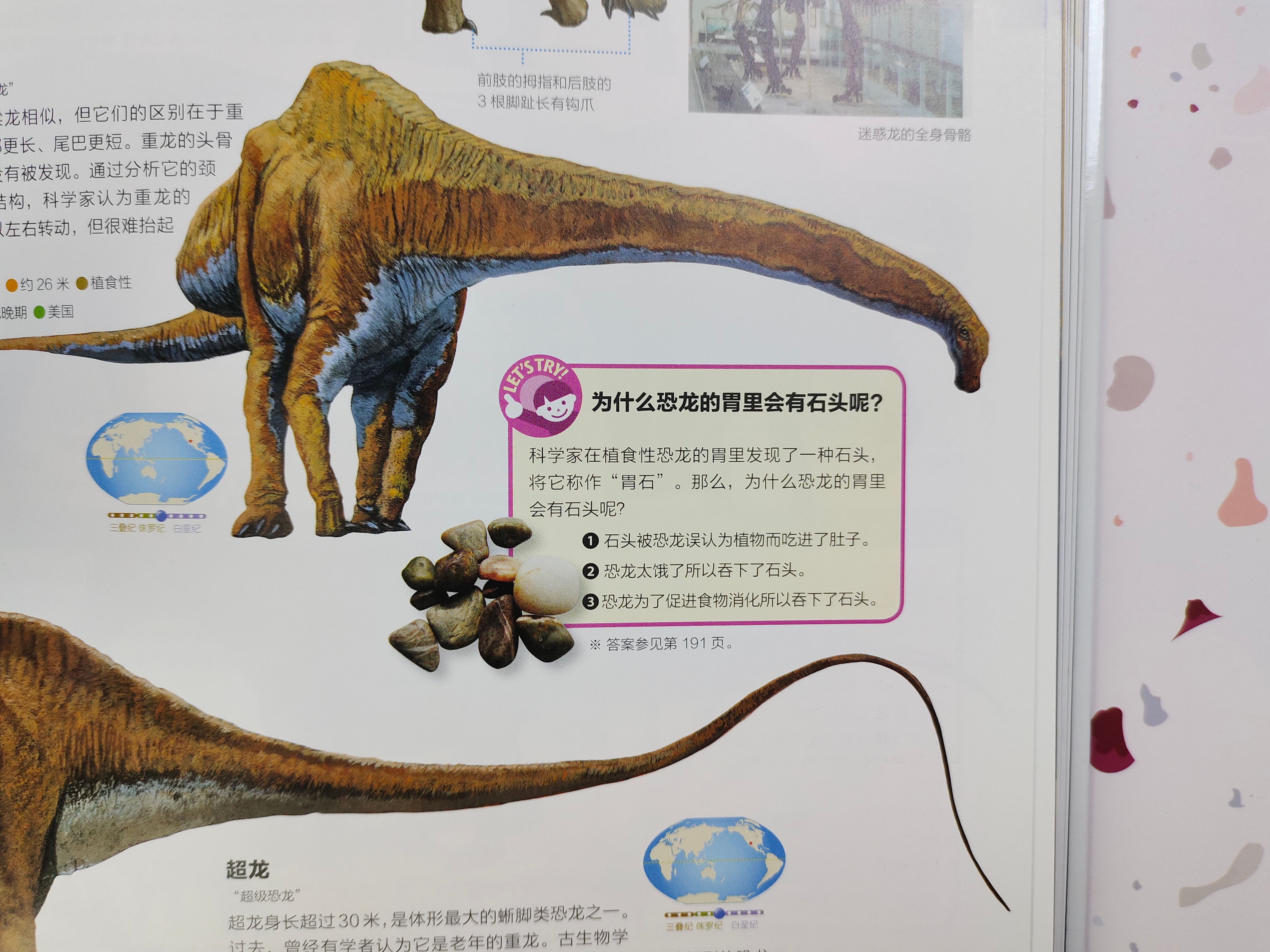 恐龙百科全书恐龙世界的无穷奥秘,世界上最全的恐龙百科全书