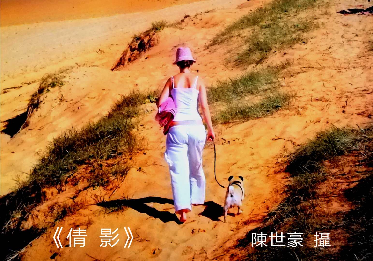 陈世豪摄影集《心弦》部分作品分享