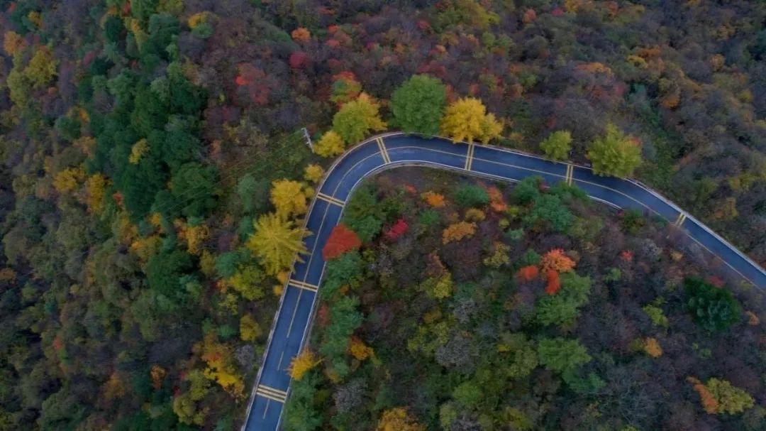 湖北深秋自驾游景点推荐,秋色彩林川西自驾