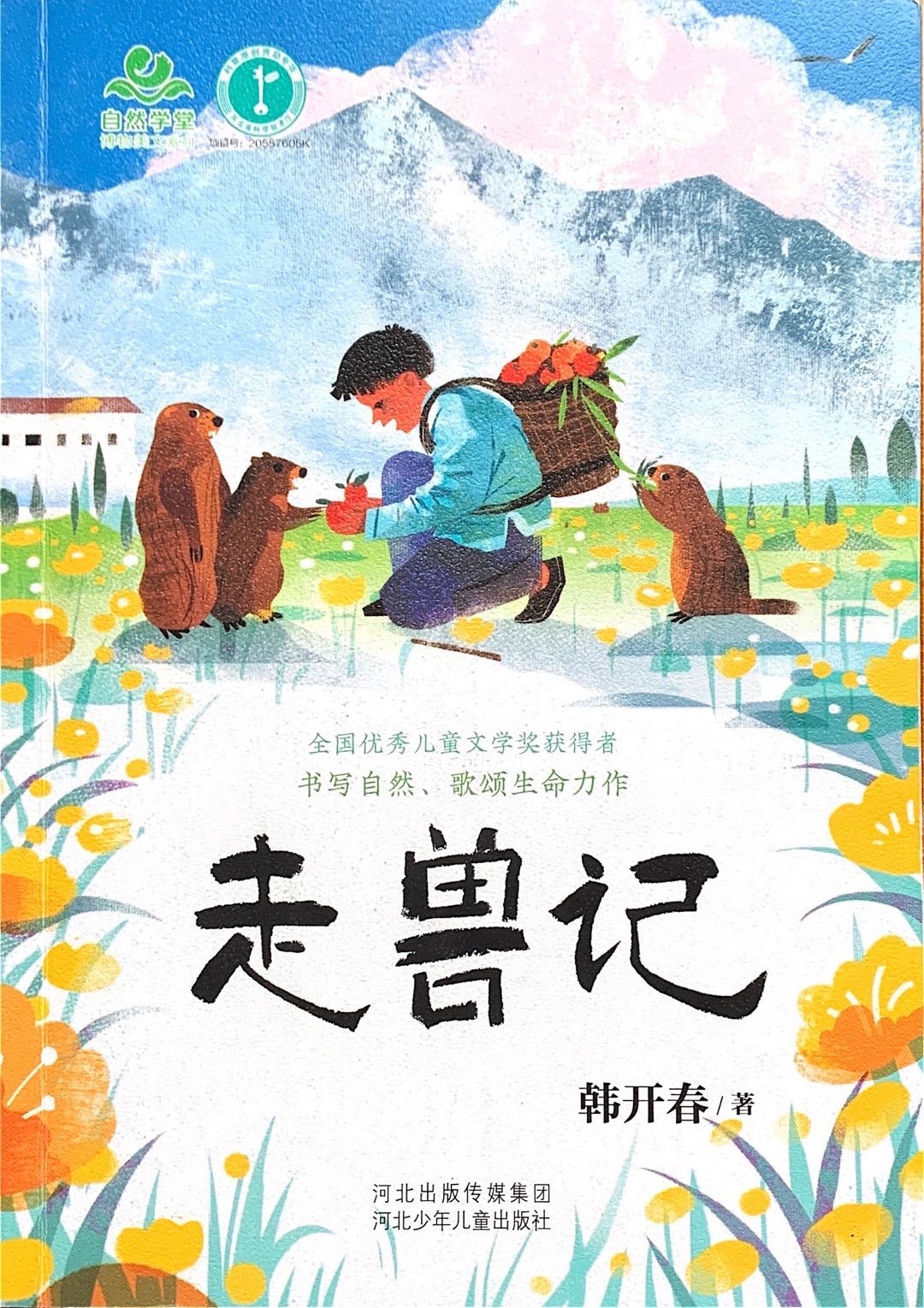 黄鼠狼通过放臭气来躲避狐狸,黄鼠狼和狐狸斗法