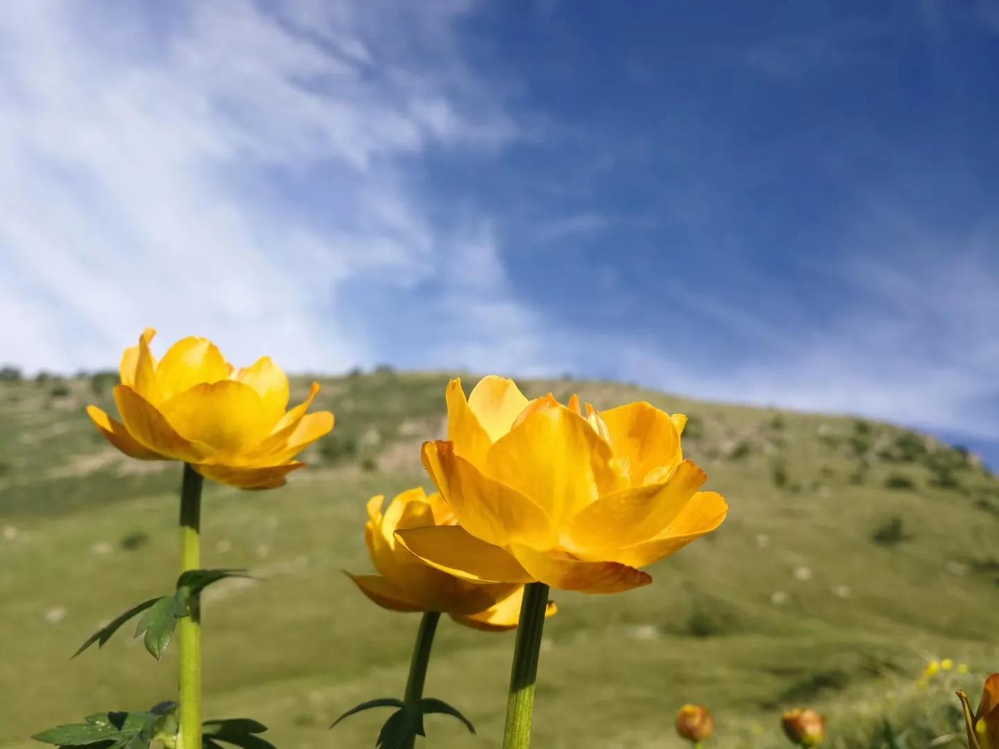 河北最高的小五台山晴空万里,河北的最高山峰小五台山海拔多少