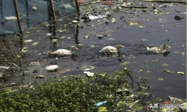 换换回收产品可靠吗,换换回收的东西可靠吗