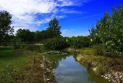 北京这38个森林公园您先收藏了!定个小目标,有空儿玩个遍!