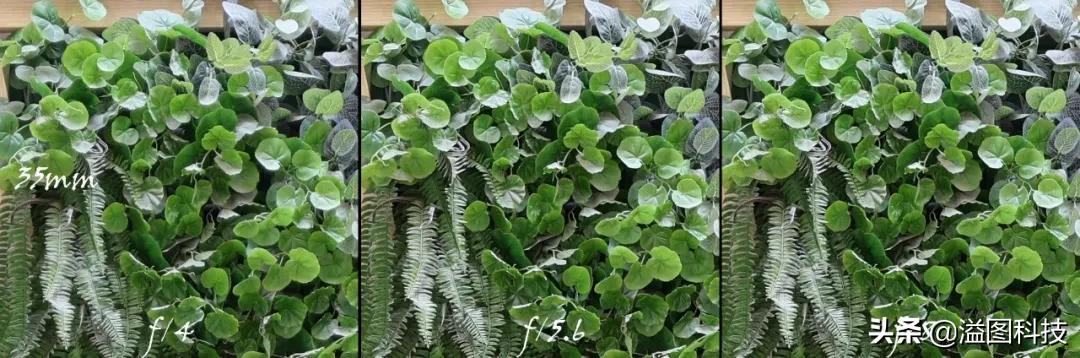 佳能rf351.4镜头评测,佳能rf14-35mmf4拍摄效果