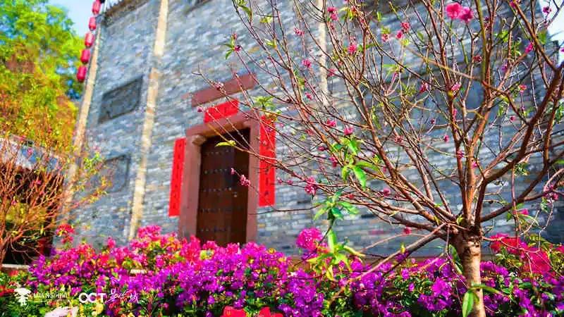 春天该很好，倘若你在场！龙岗最“花心”的地方是……