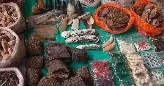 放过大象吧!别再用大象皮车珠子了!