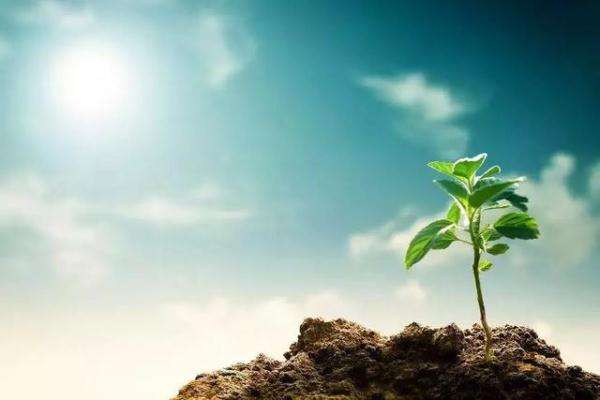 跟小人共事永远没有出头之日,与小人共事无异于与虎谋皮