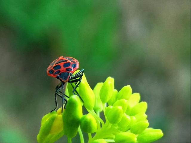 手拍世界微信公众号,手拍世界283期