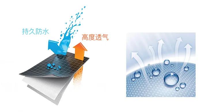 刘强东推荐一双小白鞋,刘强东的鞋子