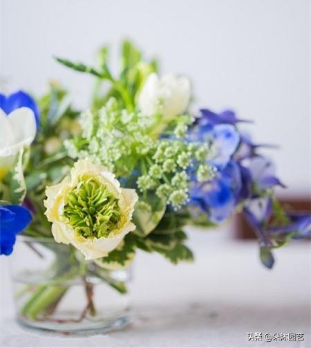 女神节插花图片大全,女神节插花教学视频