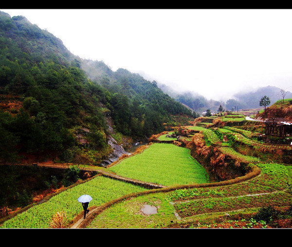 中国最大富硒村藏在大山里，度假养生又好玩，70元一天包住与三餐