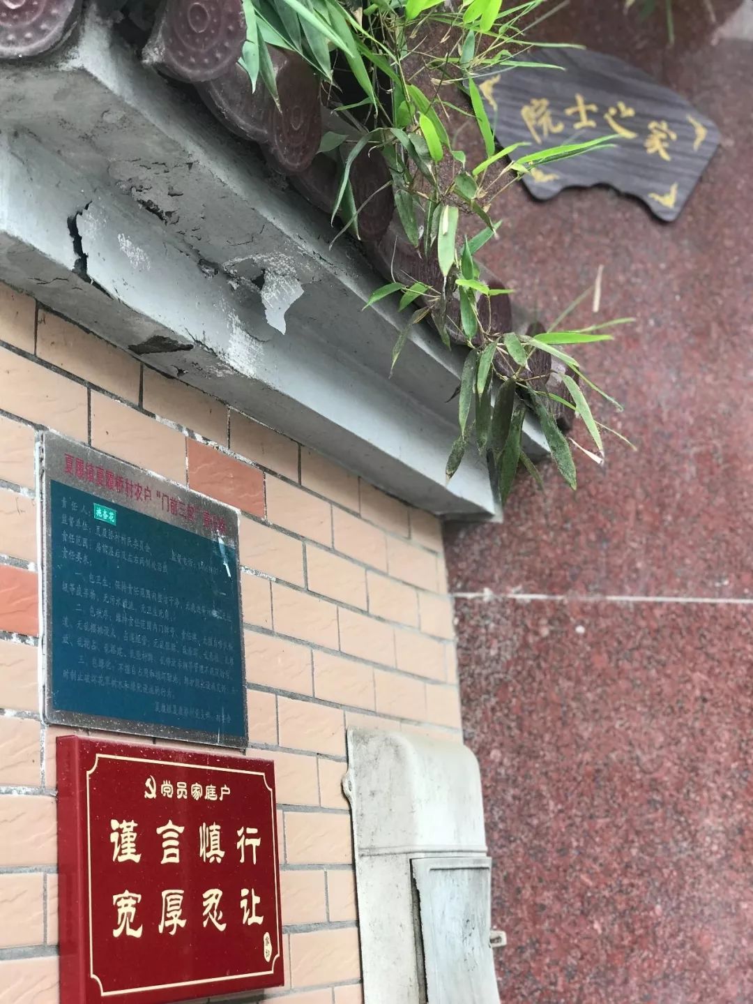 【鑫富纪实】国医院士″李兰娟