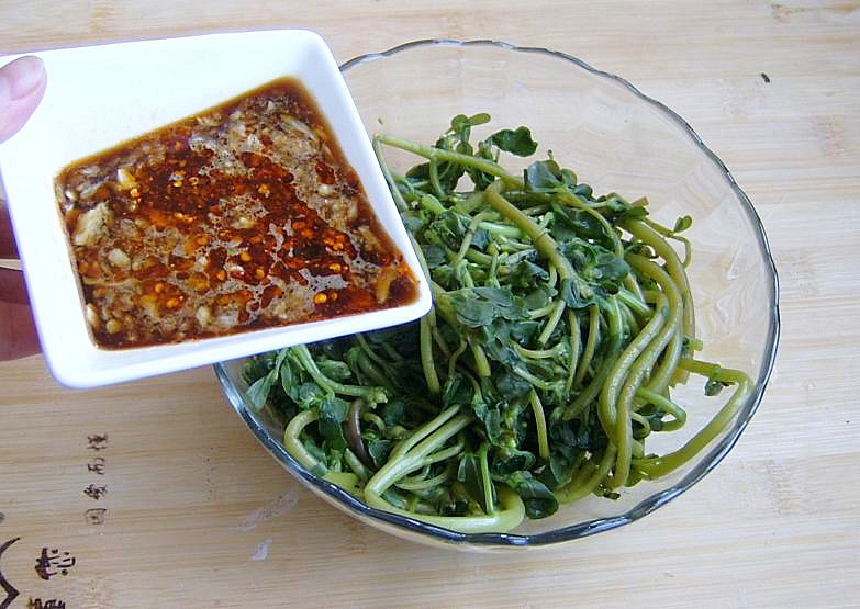 马齿苋是什么野草,马齿苋是农田里常见的野菜