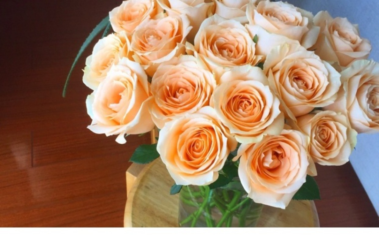 玫瑰可不止有红色的,玫瑰花有几种颜色几种名字