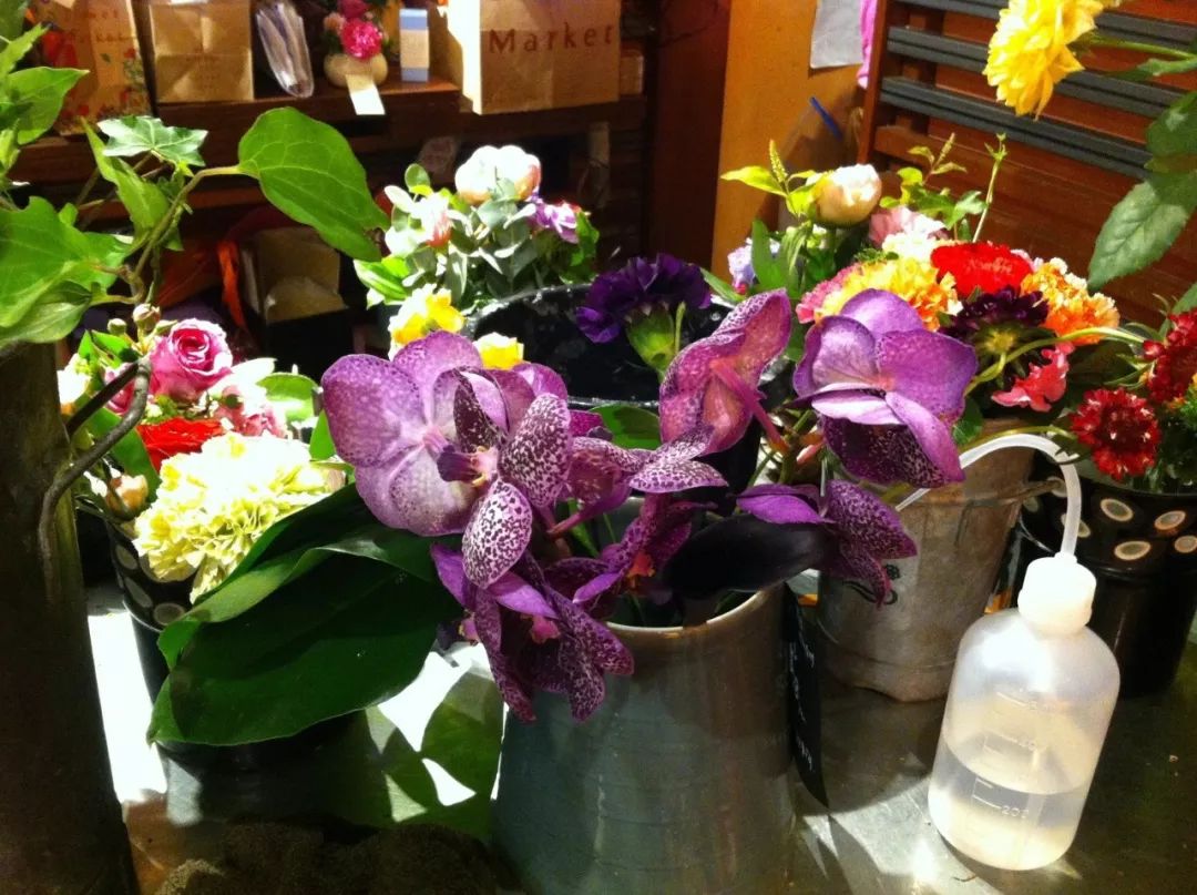 开在茶铺里的花店,开在花店里的咖啡店