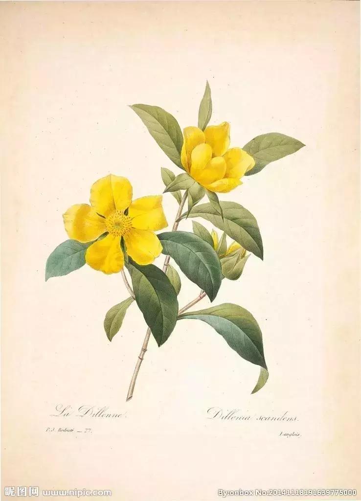 儿歌记生字,生字儿歌趣味教学