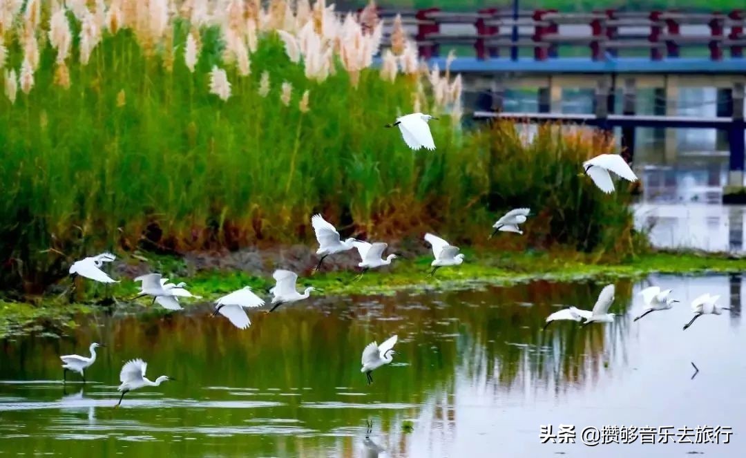 开挂了这座人口仅30万的小城，却连续5年上榜“四川省十强县”