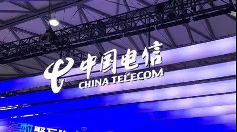 thewrap是什么牌子,thewrap