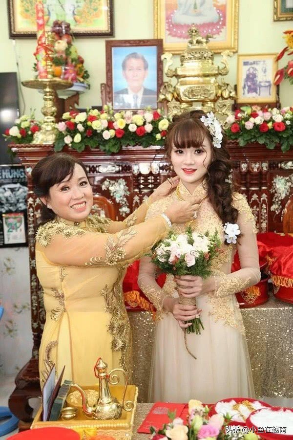 越南的风土人情简介,越南有什么风土人情