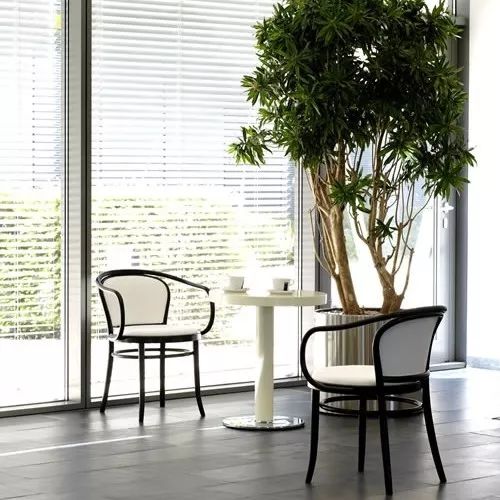 探访TON工厂看经典椅子背后的故事|疯狂24h我们去捷克干了啥？