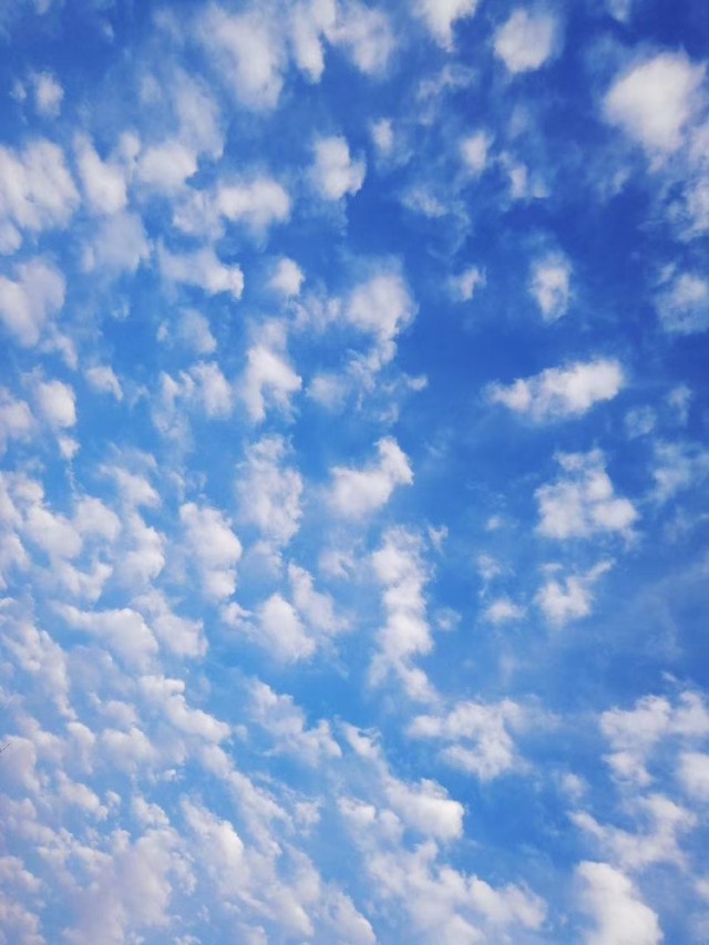 光影斑驳旧照片,斑驳的树影是时光的印记