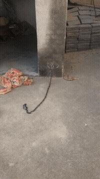 川妹子美,川妹子的魅力完整视频