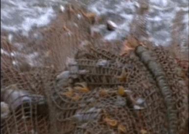 富二代晒人骨皮包的真相完整版,富二代晒人骨皮包图片