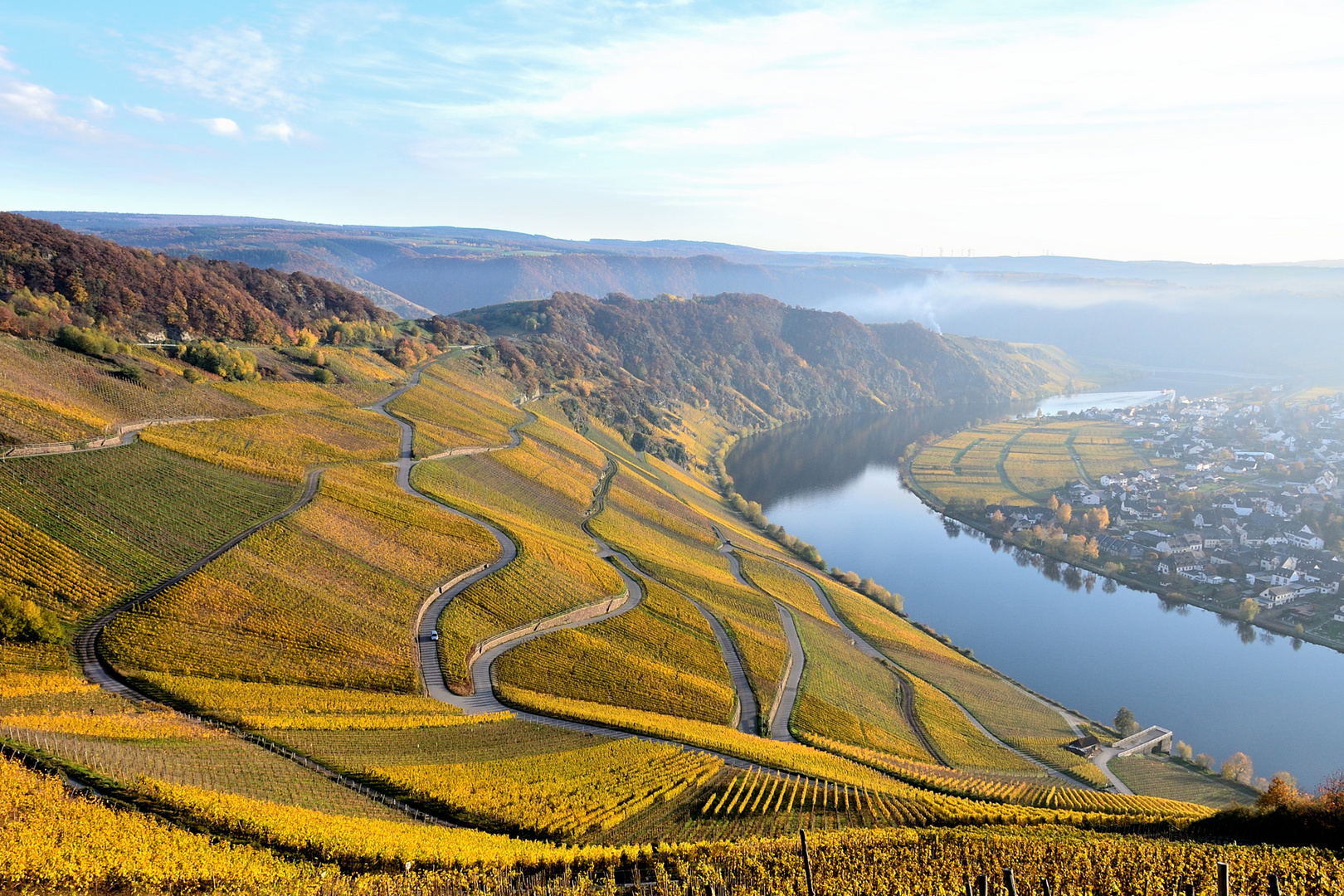 德国雷司令葡萄酒二十年多少钱,德国伊斯特雷司令白葡萄酒