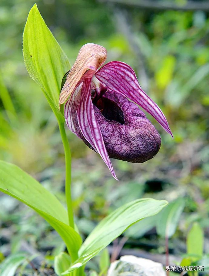 那些被我们遗忘的旅游景点,一个被遗忘的风景区